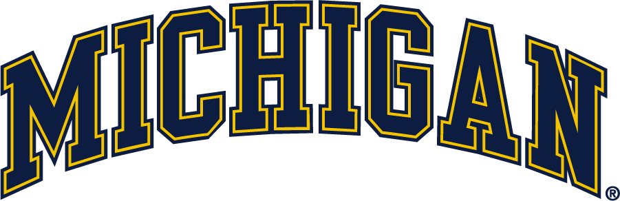 Michigan Wolverines 2016-Pres Wordmark Logo t shirts iron on transfers